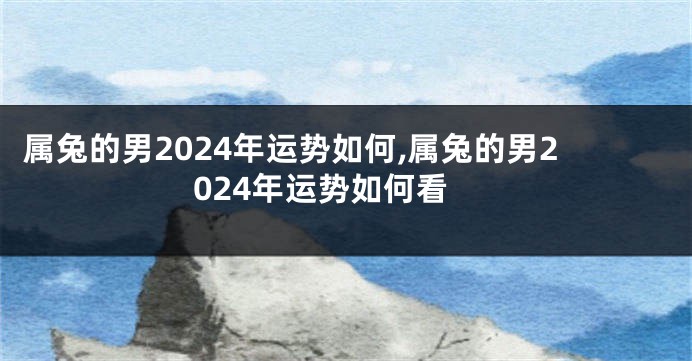 属兔的男2024年运势如何,属兔的男2024年运势如何看