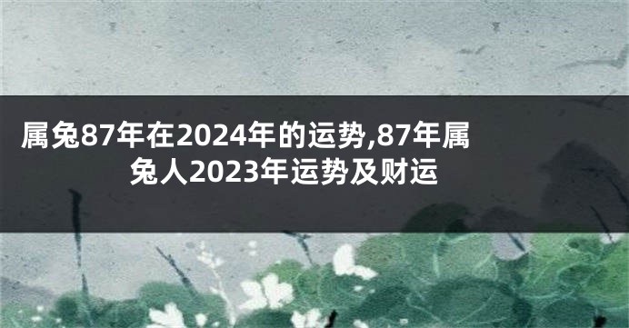 属兔87年在2024年的运势,87年属兔人2023年运势及财运