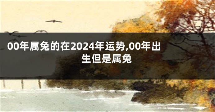 00年属兔的在2024年运势,00年出生但是属兔