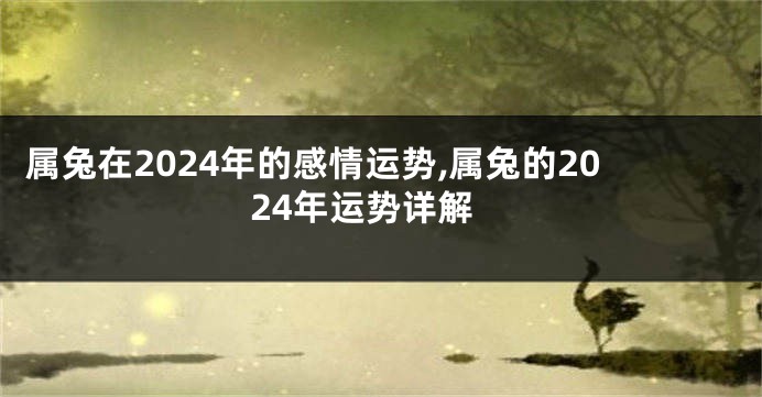 属兔在2024年的感情运势,属兔的2024年运势详解