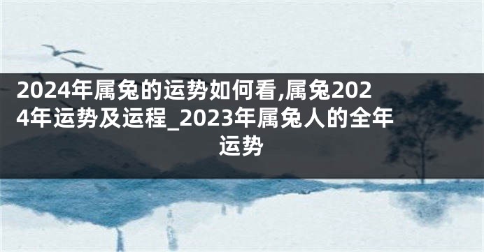 2024年属兔的运势如何看,属兔2024年运势及运程_2023年属兔人的全年运势