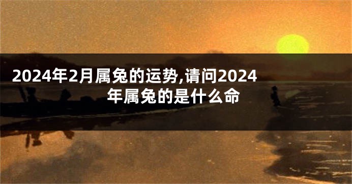 2024年2月属兔的运势,请问2024年属兔的是什么命