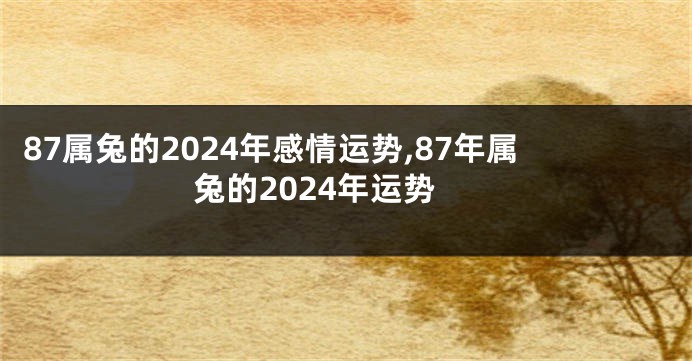 87属兔的2024年感情运势,87年属兔的2024年运势