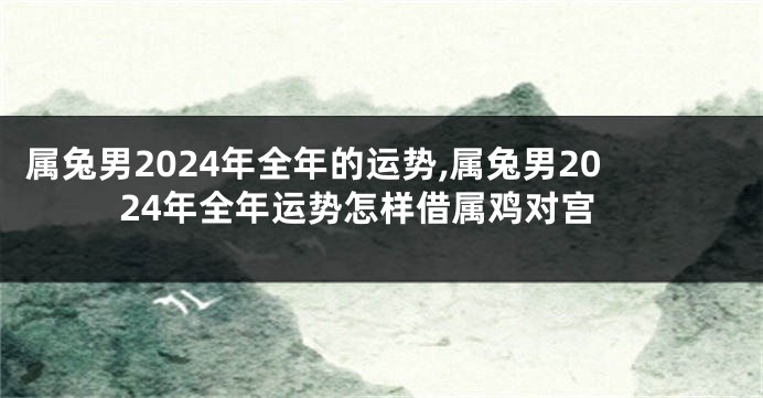 属兔男2024年全年的运势,属兔男2024年全年运势怎样借属鸡对宫