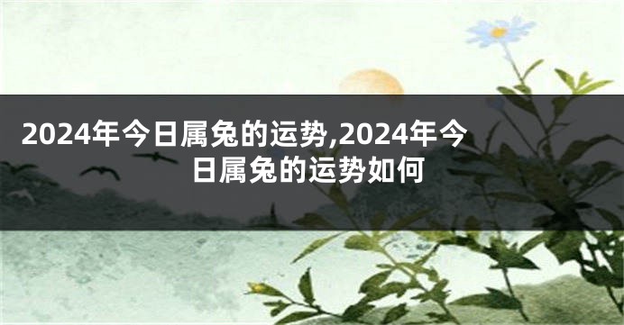 2024年今日属兔的运势,2024年今日属兔的运势如何