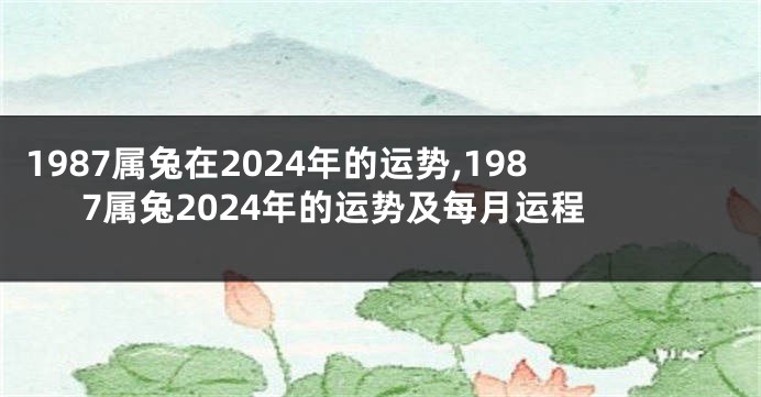 1987属兔在2024年的运势,1987属兔2024年的运势及每月运程