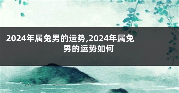 2024年属兔男的运势,2024年属兔男的运势如何