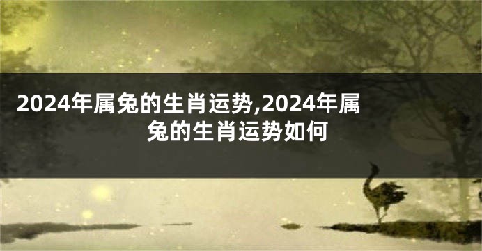 2024年属兔的生肖运势,2024年属兔的生肖运势如何