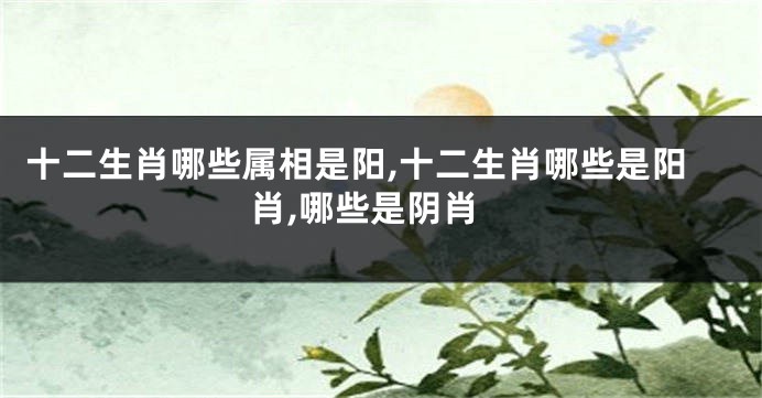 十二生肖哪些属相是阳,十二生肖哪些是阳肖,哪些是阴肖