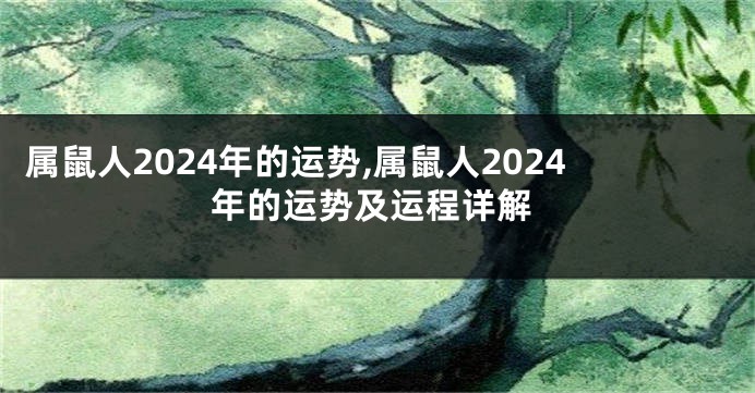 属鼠人2024年的运势,属鼠人2024年的运势及运程详解