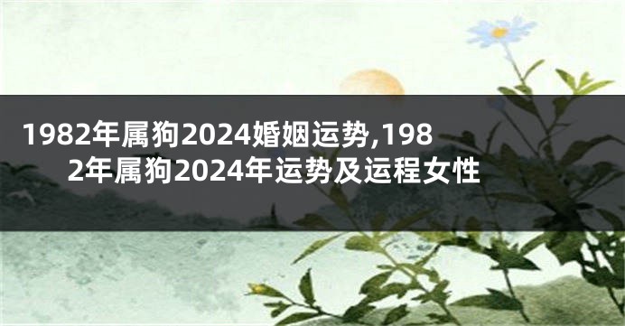 1982年属狗2024婚姻运势,1982年属狗2024年运势及运程女性