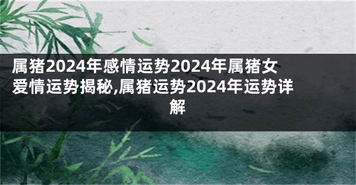 属猪2024年感情运势2024年属猪女爱情运势揭秘,属猪运势2024年运势详解