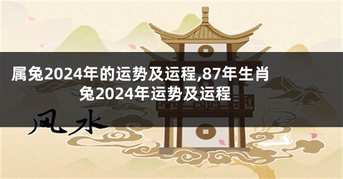 属兔2024年的运势及运程,87年生肖兔2024年运势及运程