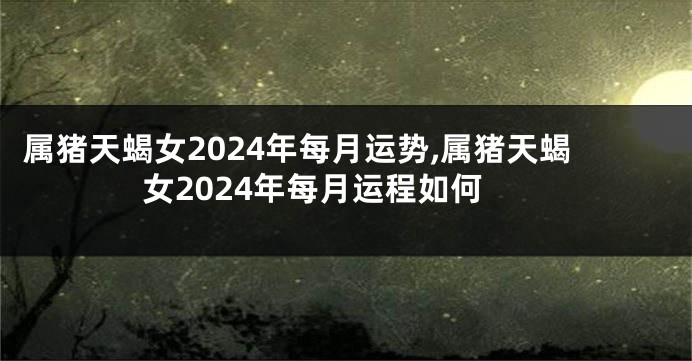 属猪天蝎女2024年每月运势,属猪天蝎女2024年每月运程如何