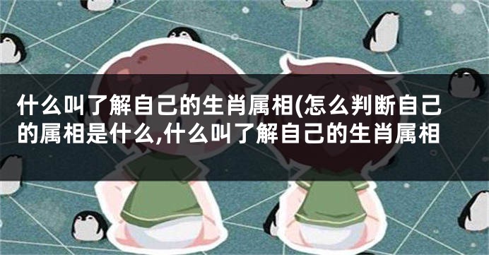 什么叫了解自己的生肖属相(怎么判断自己的属相是什么,什么叫了解自己的生肖属相