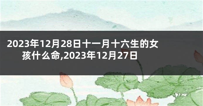 2023年12月28日十一月十六生的女孩什么命,2023年12月27日