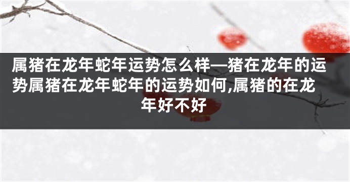 属猪在龙年蛇年运势怎么样—猪在龙年的运势属猪在龙年蛇年的运势如何,属猪的在龙年好不好