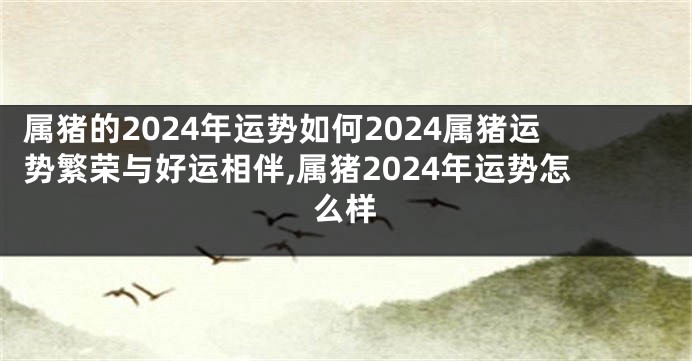 属猪的2024年运势如何2024属猪运势繁荣与好运相伴,属猪2024年运势怎么样