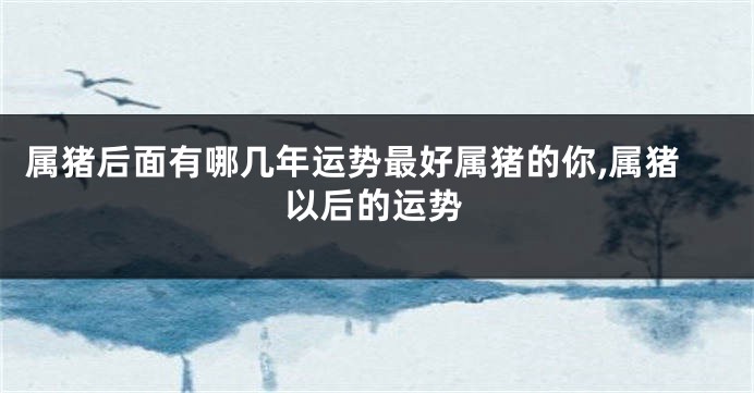 属猪后面有哪几年运势最好属猪的你,属猪以后的运势