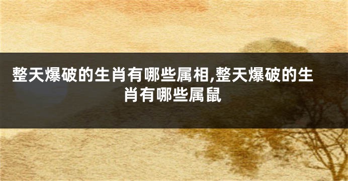 整天爆破的生肖有哪些属相,整天爆破的生肖有哪些属鼠