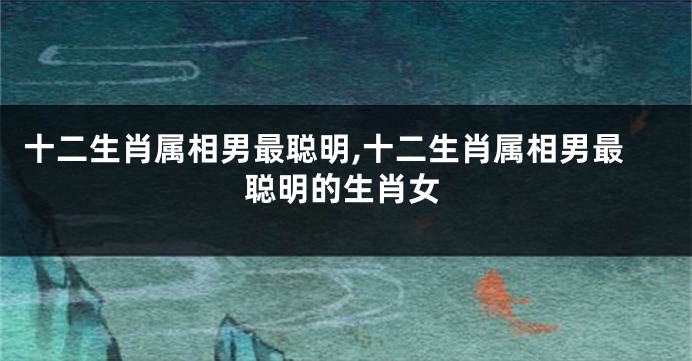 十二生肖属相男最聪明,十二生肖属相男最聪明的生肖女