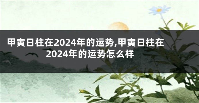 甲寅日柱在2024年的运势,甲寅日柱在2024年的运势怎么样