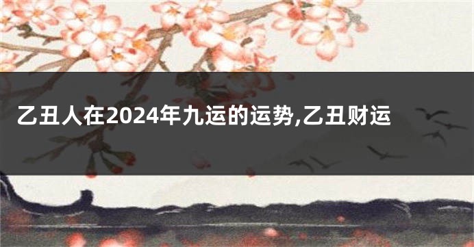 乙丑人在2024年九运的运势,乙丑财运