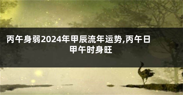 丙午身弱2024年甲辰流年运势,丙午日甲午时身旺