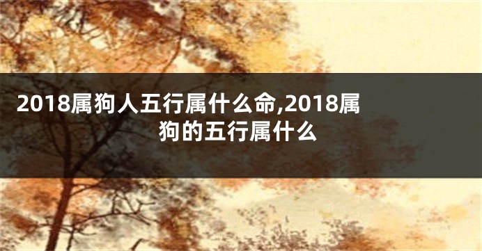 2018属狗人五行属什么命,2018属狗的五行属什么