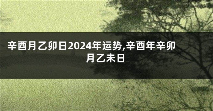 辛酉月乙卯日2024年运势,辛酉年辛卯月乙未日