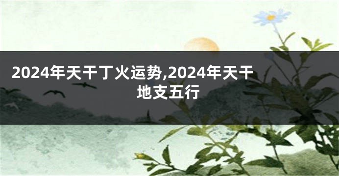 2024年天干丁火运势,2024年天干地支五行