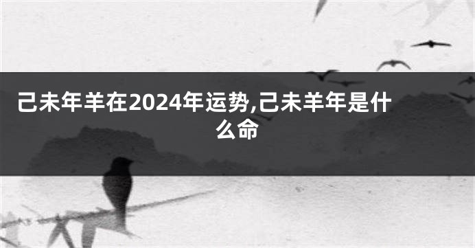 己未年羊在2024年运势,己未羊年是什么命