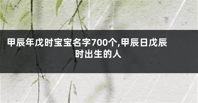 甲辰年戊时宝宝名字700个,甲辰日戊辰时出生的人