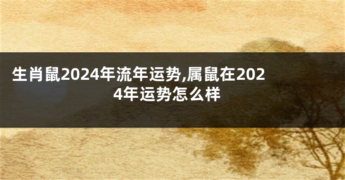 生肖鼠2024年流年运势,属鼠在2024年运势怎么样