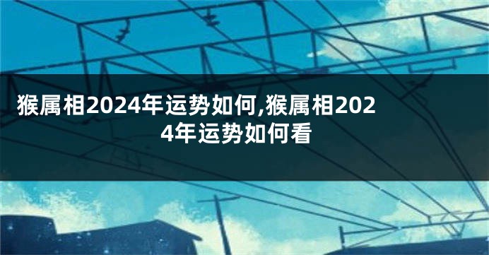 猴属相2024年运势如何,猴属相2024年运势如何看