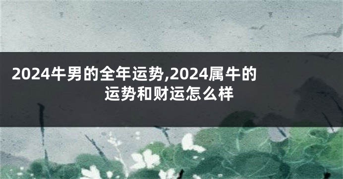 2024牛男的全年运势,2024属牛的运势和财运怎么样