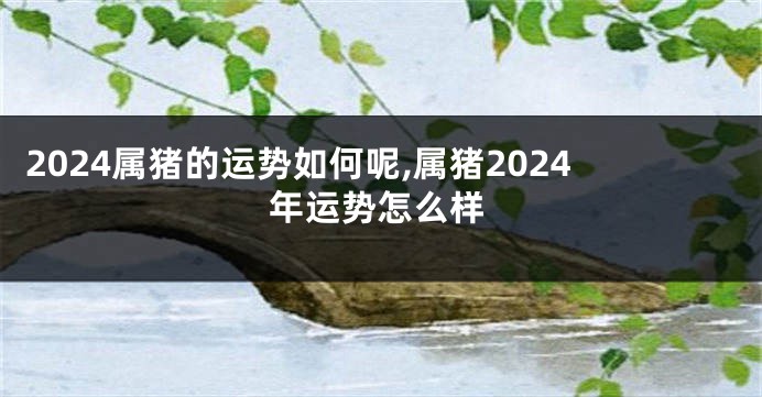 2024属猪的运势如何呢,属猪2024年运势怎么样