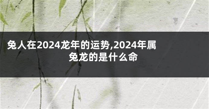 兔人在2024龙年的运势,2024年属兔龙的是什么命