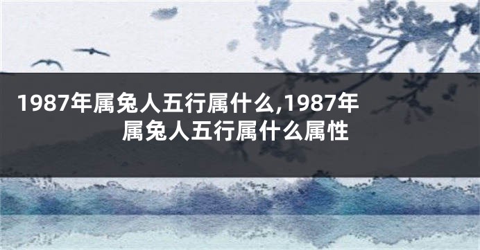 1987年属兔人五行属什么,1987年属兔人五行属什么属性