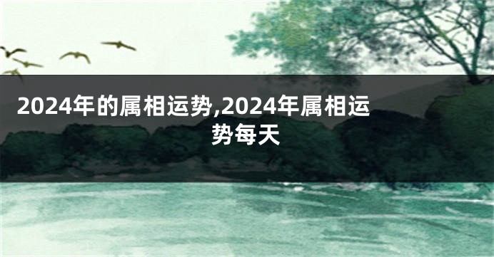 2024年的属相运势,2024年属相运势每天