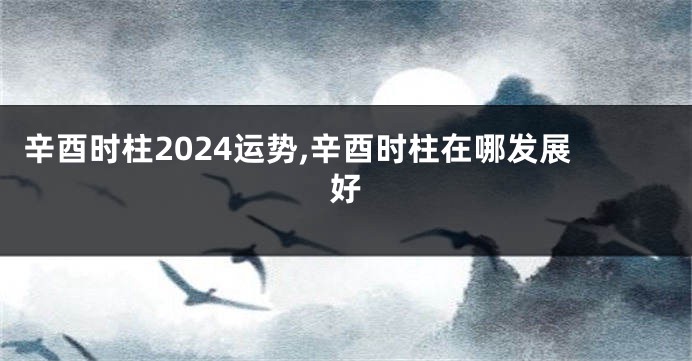 辛酉时柱2024运势,辛酉时柱在哪发展好