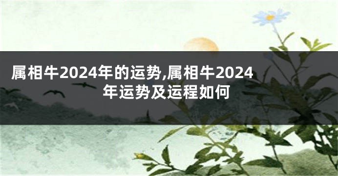 属相牛2024年的运势,属相牛2024年运势及运程如何