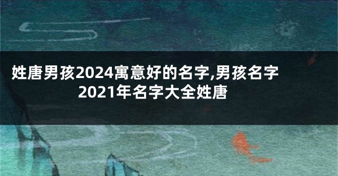 姓唐男孩2024寓意好的名字,男孩名字2021年名字大全姓唐