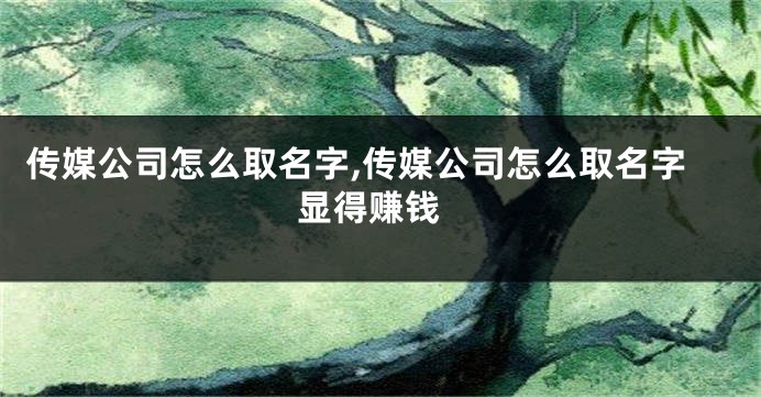 传媒公司怎么取名字,传媒公司怎么取名字 显得赚钱