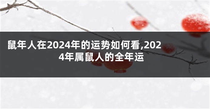 鼠年人在2024年的运势如何看,2024年属鼠人的全年运