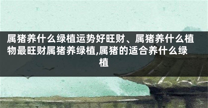 属猪养什么绿植运势好旺财、属猪养什么植物最旺财属猪养绿植,属猪的适合养什么绿植