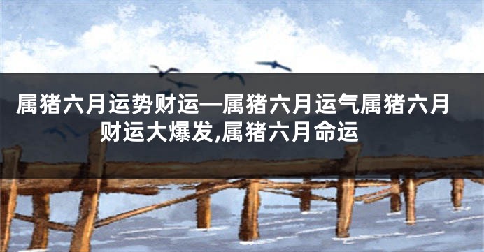 属猪六月运势财运—属猪六月运气属猪六月财运大爆发,属猪六月命运