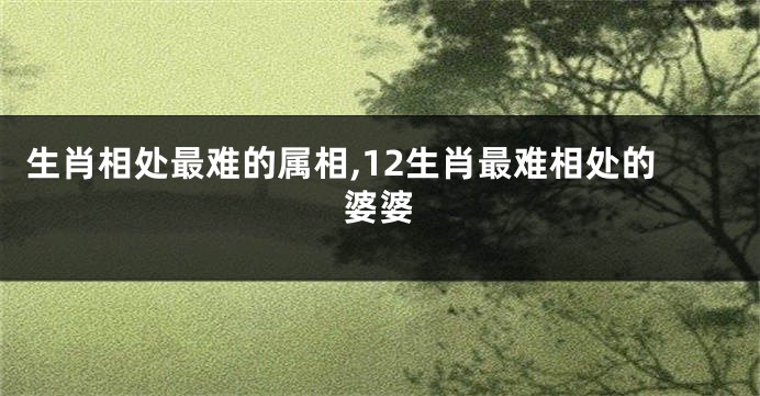 生肖相处最难的属相,12生肖最难相处的婆婆