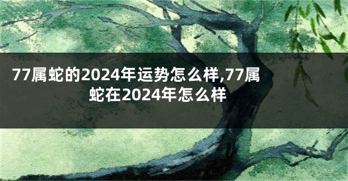 77属蛇的2024年运势怎么样,77属蛇在2024年怎么样