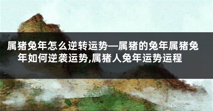 属猪兔年怎么逆转运势—属猪的兔年属猪兔年如何逆袭运势,属猪人兔年运势运程